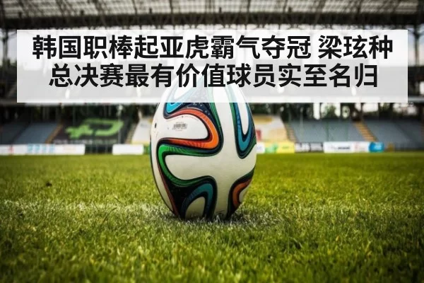 韩国职棒起亚虎霸气夺冠 梁玹种总决赛最有价值球员实至名归