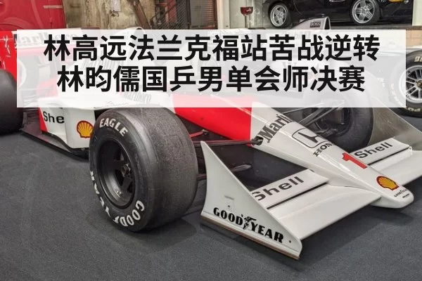 林高远法兰克福站苦战逆转林昀儒国乒男单会师决赛